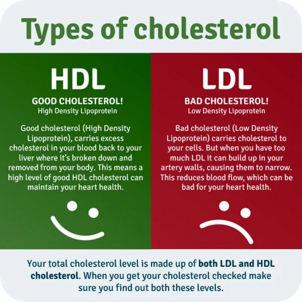 High cholesterol and hyperlipidemia management at Orchid Wellness